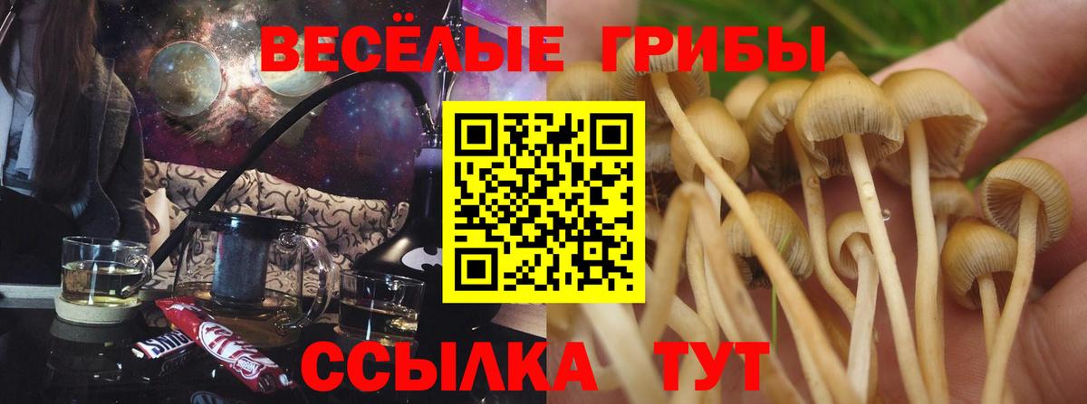 Псилоцибиновые грибы GOLDEN TEACHER  Вход с VPN  Псилоцибиновые грибы мухоморы  Еманжелинск 